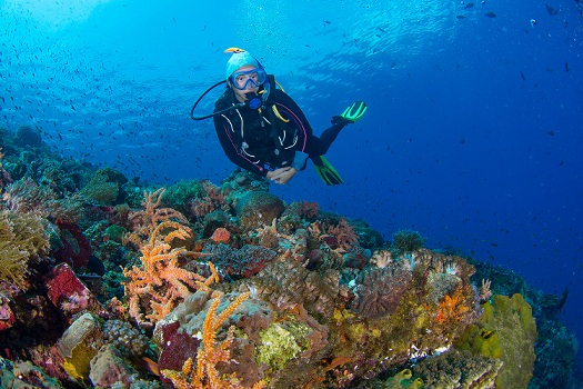 Как определить размер гидрокостюма для подводной охоты?